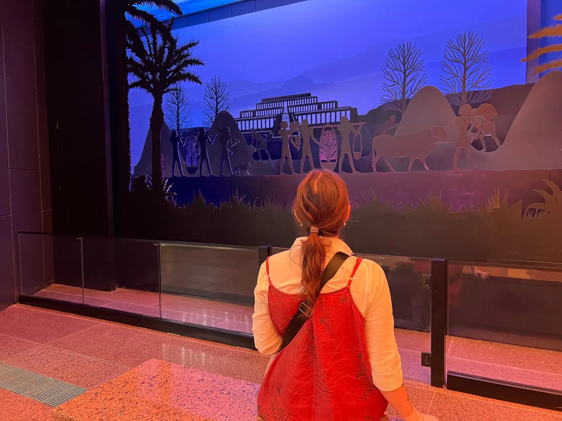 Visitor viewing a museum display