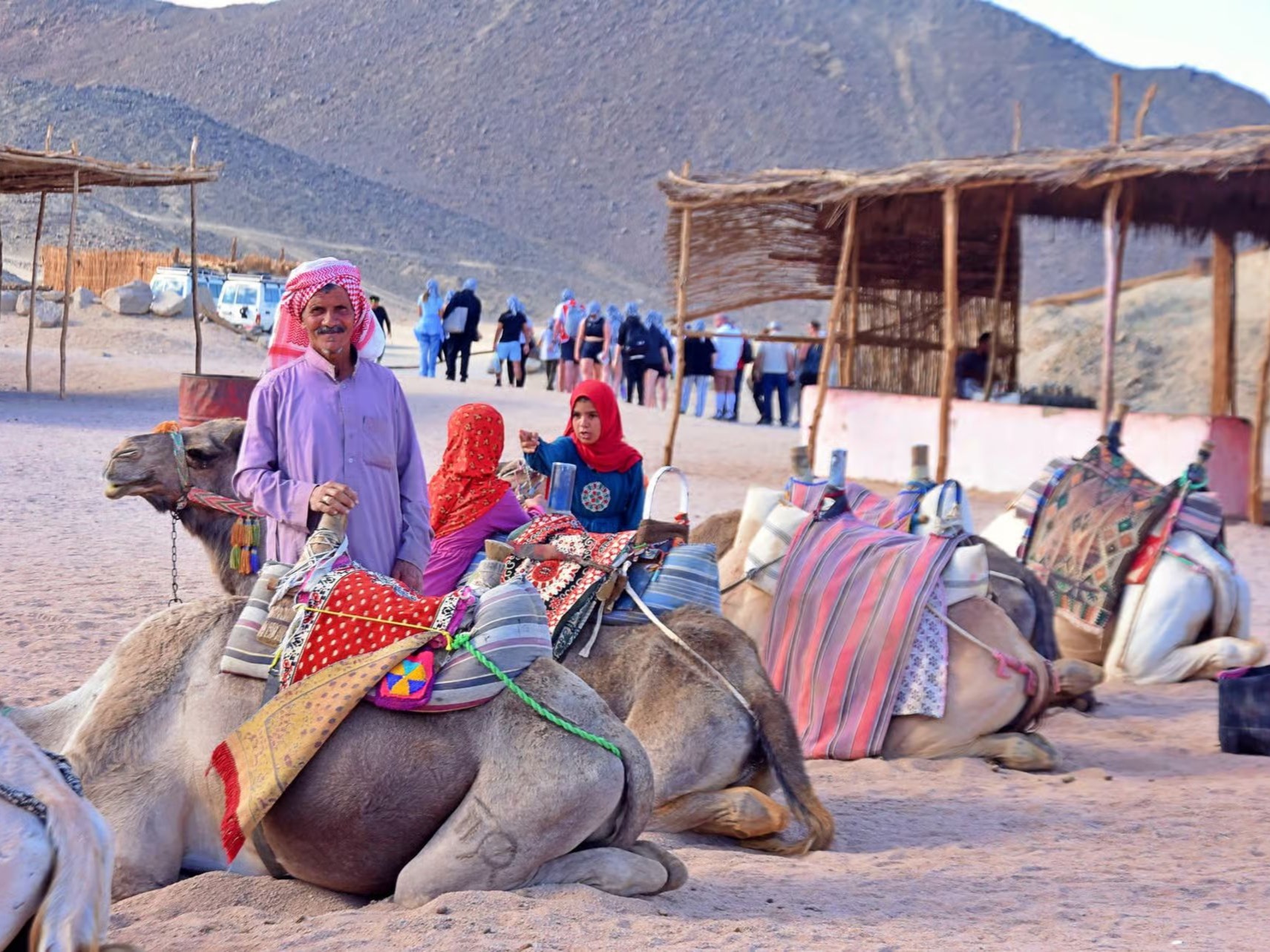 Camels resting beside a Bedouin camp