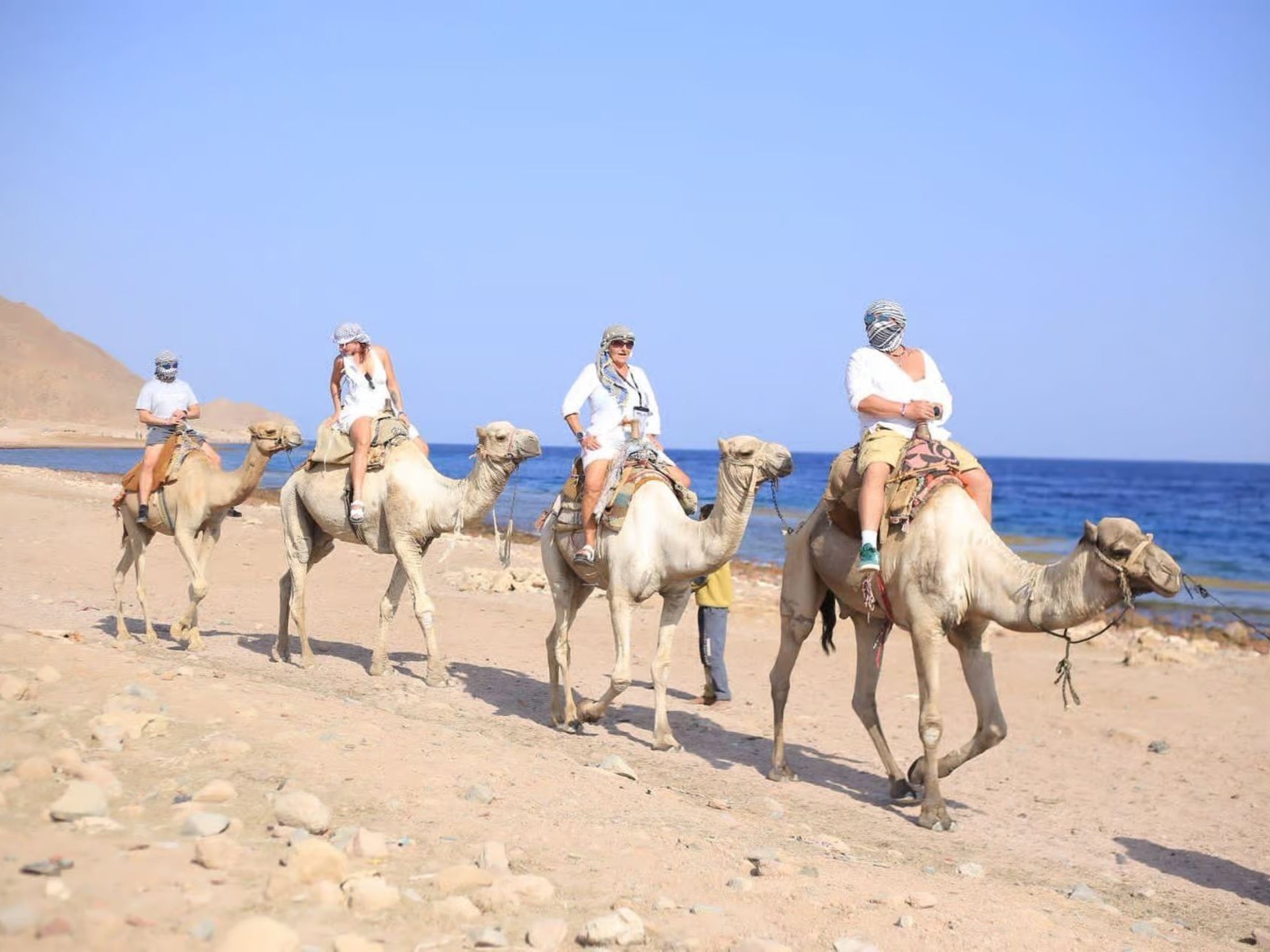 Camel ride beside the Red Sea