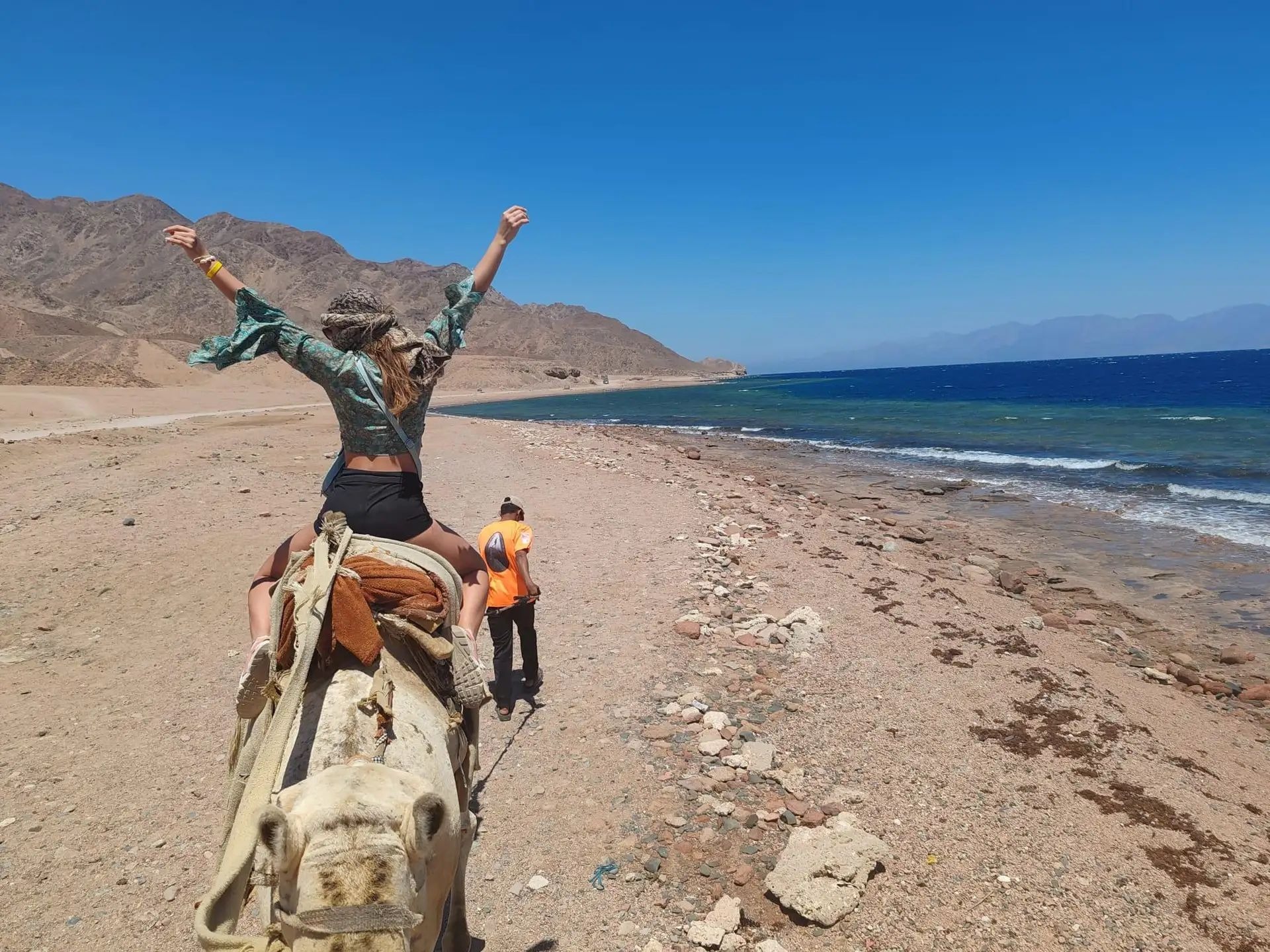 Camel ride along the coast
