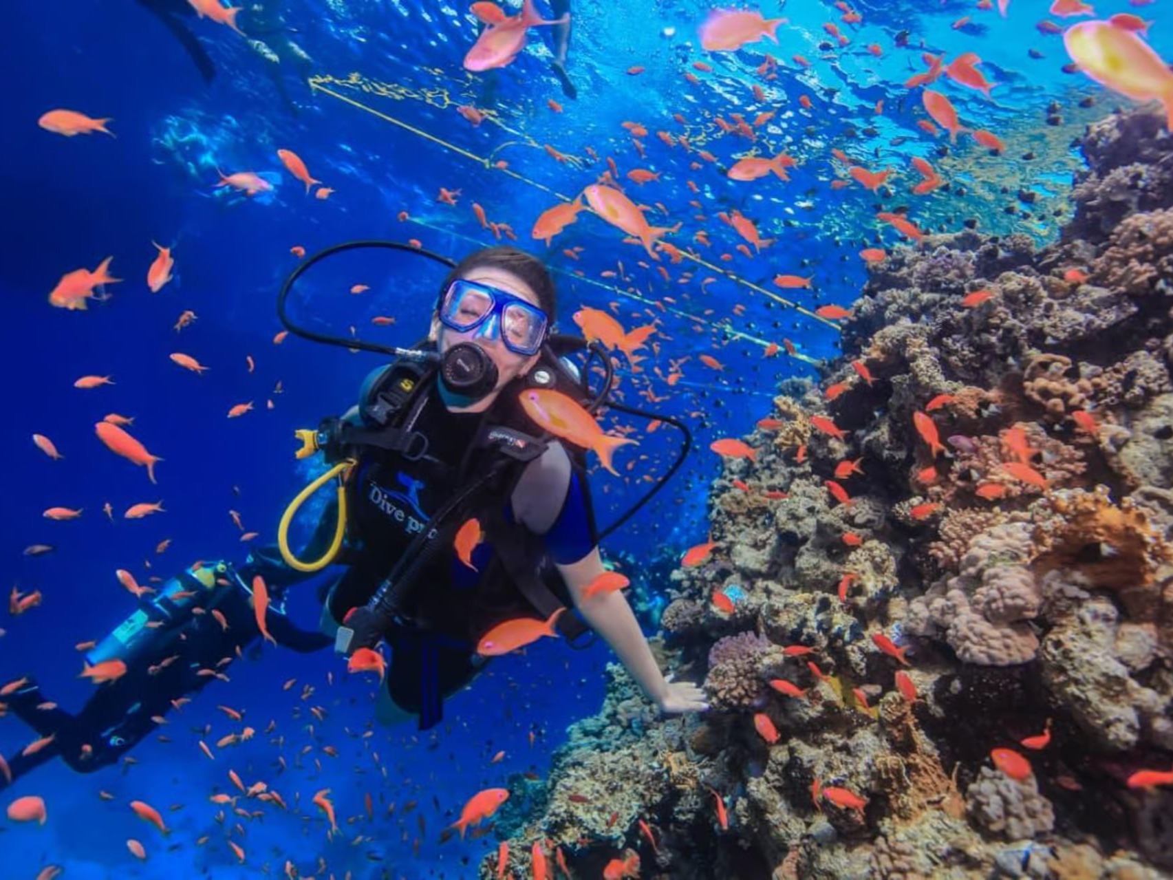Scuba diver exploring colourful coral